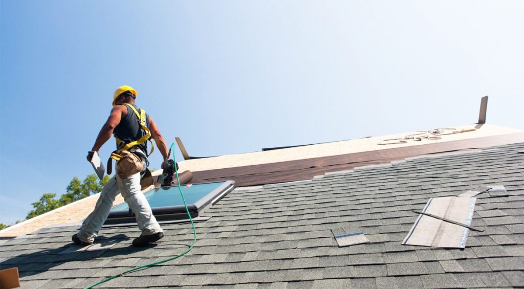 TREC Roofing Services